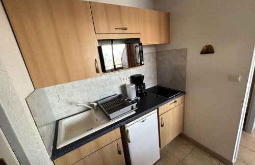 Résidence Gardette - Superbe vue sur les montagnes de ce T2 à Réallon A13 MAE-9051 - Photo 4