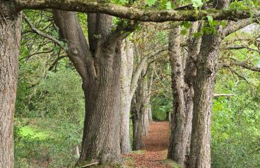 Exklusive Ferienwohnung Bad Salzschlirf - direkt am Waldrand - großer Garten kompett umzäunt - Hunde willkommen - 2 private Stellplätze - Foto 67