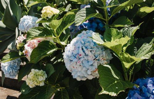 Ocean View Villa Retreat Quinta do Sol - Photo 19