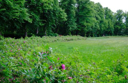 Schickes Apartment in Zwickau direkt am Römerplatz - Foto 21