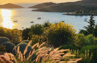 Villa Faros Vourkari Kea with private pool and stunning views - Foto 5