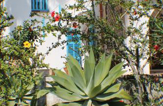 Can Bellet, suspiros ibicencos - Photo 9