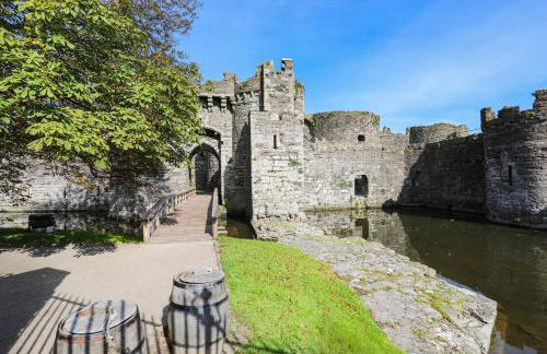 Bwthyn Cae Haidd - Foto 23