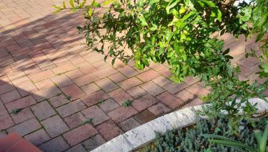 Studio appartman Iva - Photo 3