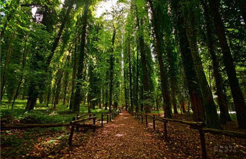 GarganoMareBorghi ospitalità diffusa - Foto 51