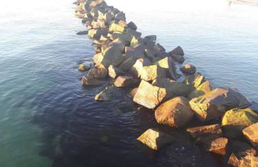 Ferienwohnung Boddenzander - Foto 24