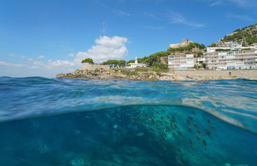 Garbi 1-2 - Barneda Premium - Foto 46