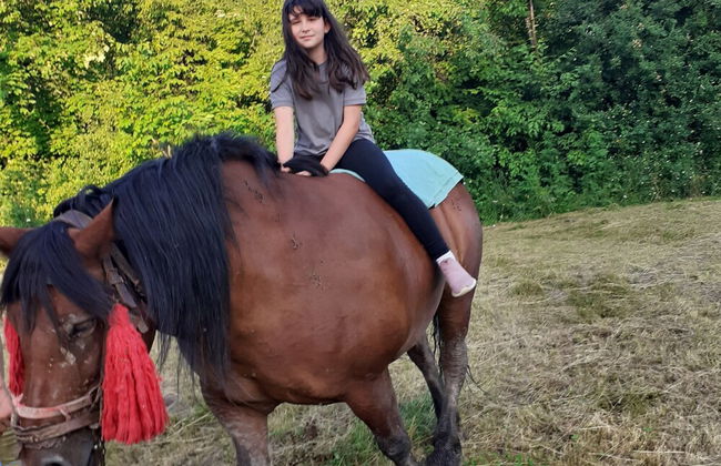 Room in Guest Room - Healthy Retreat Holiday in Mountain - Foto 31