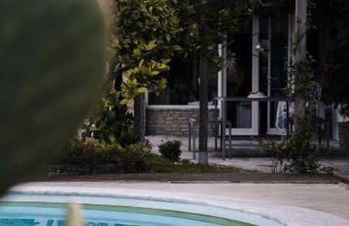 João Jungle - Foto 7