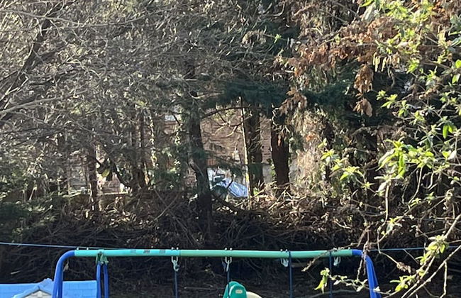 Whole House Cottage with huge Garden - Foto 21