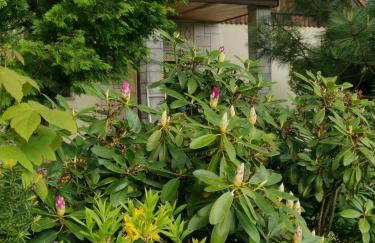 Jaworowy Stok z widokiem na góry i ogrodem - Foto 45