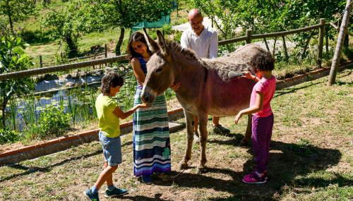 Vale do Ninho Nature Houses - Foto 4