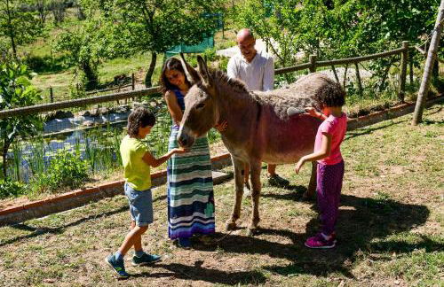 Vale do Ninho Nature Houses - Foto 4