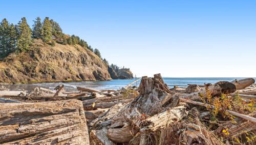 The Sea Glass Cottage - Foto 3