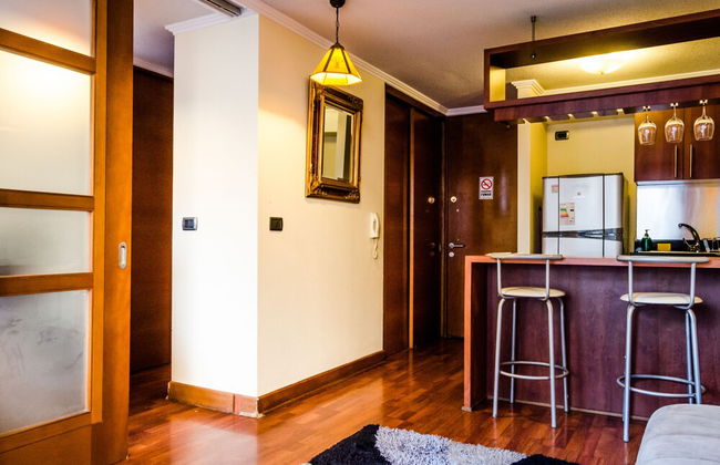 APART PROVIDENCIA SANTA BEATRIZ - Foto 15