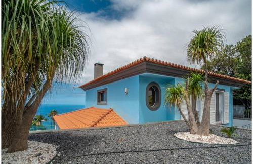 Villa Loureiro Palace With Soccer Field - Foto 68