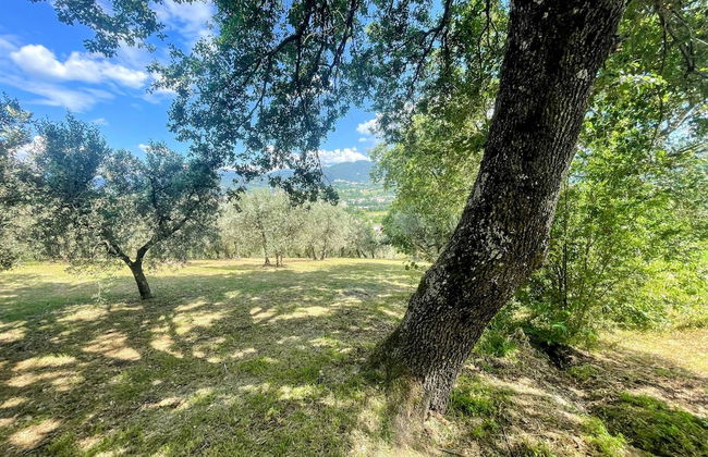 Spoleto Tranquilita Sleeps 20 With Wifi Pool Yoga Studio Gardens and Views - Photo 51