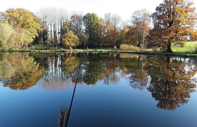 Cabane dans les Arbres - Tree House - Foto 35