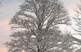 Eco-gîte La Clé des Champs - Foto 15