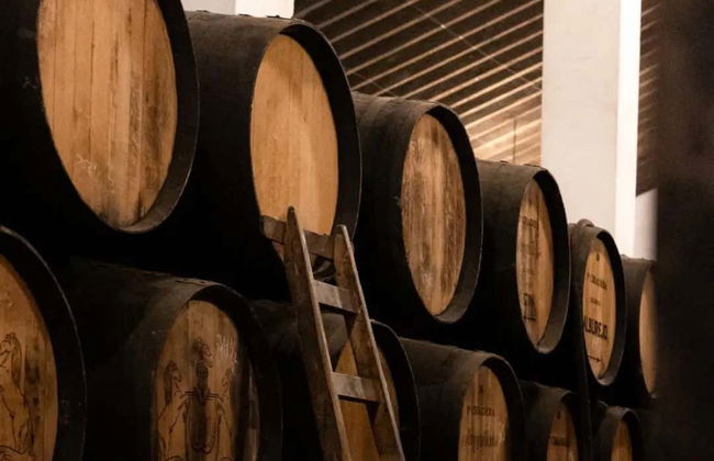 Visita a las Bodegas Álvaro Domecq - Foto 12