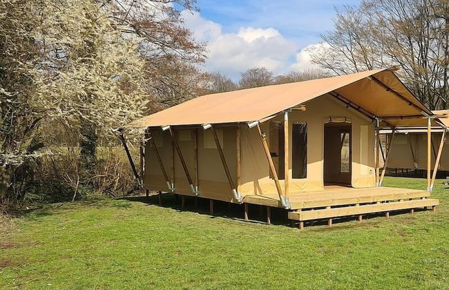 Ponyhof Georgenbruch - Photo 58