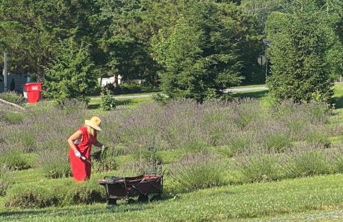 Riverview Suite at La Soledad - Foto 15