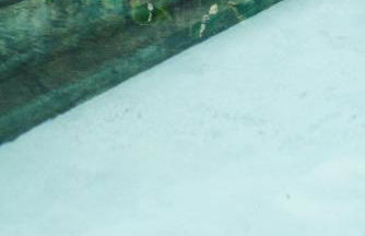 Hacienda El Socorro - Foto 30