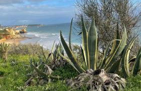 Sunnyside Suite-Portimão (Great beaches & Nearby Golfing) - Foto 43