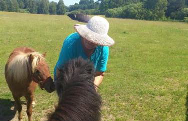 Gospodarstwo Agroturystyczne Leśna Polanka - Foto 6