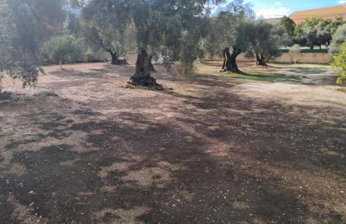 Kaspy Country Houses - Foto 49