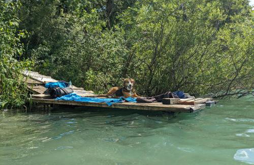 Badischer Neubau-Ruhe-Kunst-Natur - Foto 73