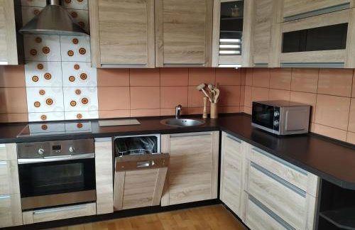 Apartament Pod Leszczyną - Foto 20
