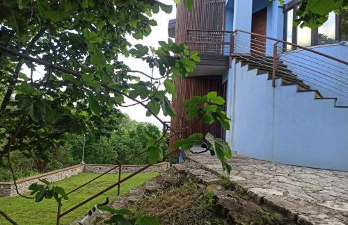 La Terrazza delle Noci - alloggio agrituristico - Foto 29