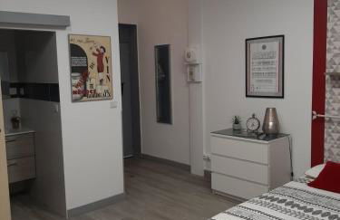 Appartement T1 Hyper Centre place de la Victoire - Foto 6