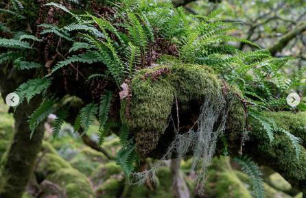 Swan Landing - Photo 29