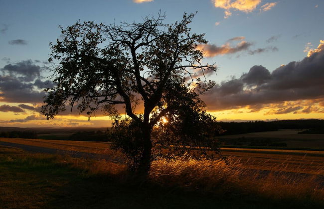 Nice Apartment in Weilmunster - Foto 17