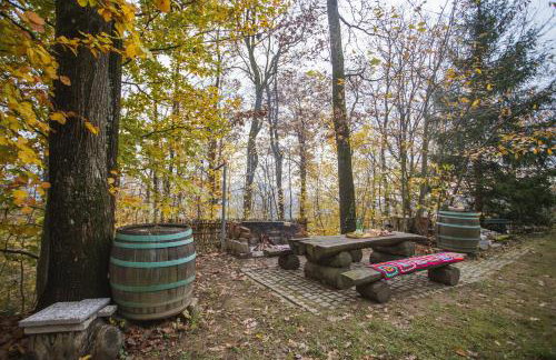 Old Chestnut Vacation Home - Foto 51