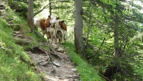 Ferienwohnungen Gästehaus Sonnenkreis - Foto 5