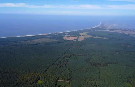 Ostseeferienhaus Finni - Foto 19