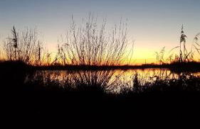 Ferienwohnung Ostfriesenglück - Foto 24