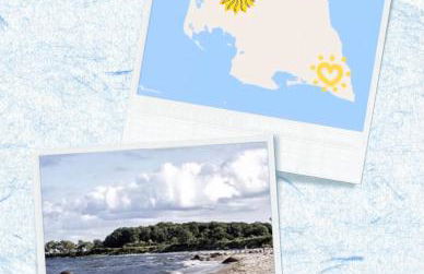 Natur Hof Fehmarn - Foto 25