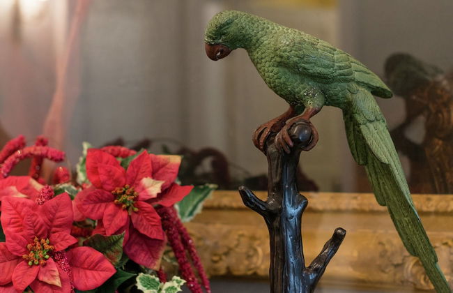 Beautiful Manor House in a Park Near Rochefort - Foto 29