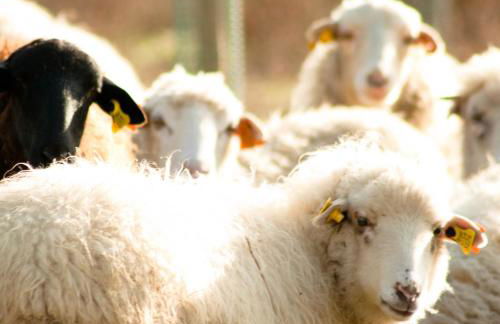 Quinta do Chãozinho - Photo 23