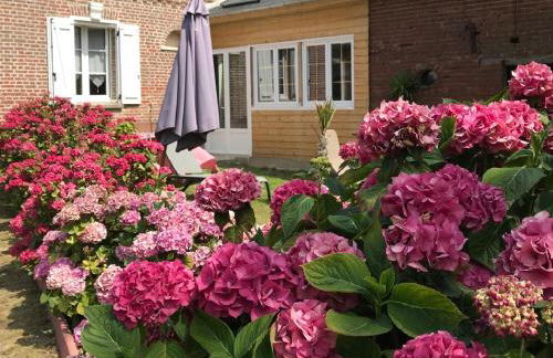 La Ferme de la Croix - Foto 1