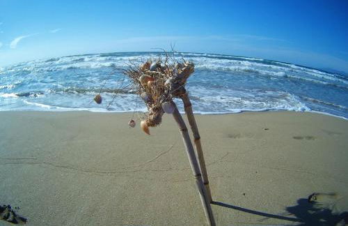 Near The Sea - Foto 53