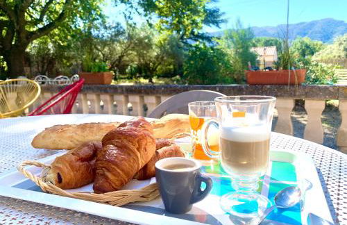 La maison aux oiseaux - Luberon - Foto 9