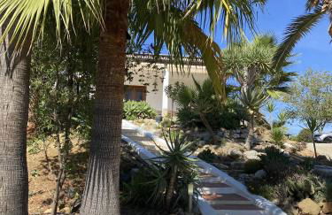 LAS PALMERAS - Foto 47