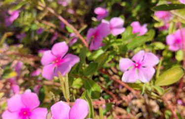 Apartment La Casa Blanca - Foto 33