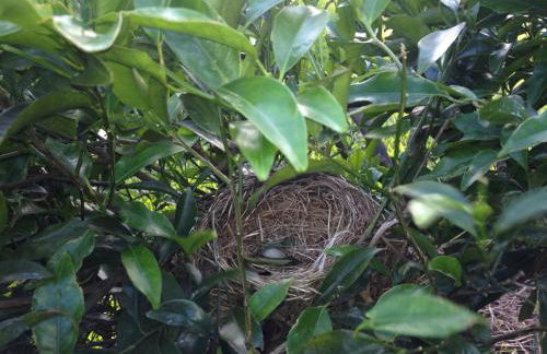 Quinta de Santa Clara - Photo 84