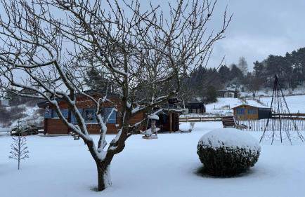 EifelChalet Niederehe - Foto 42